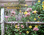 Naturescape Manitoba