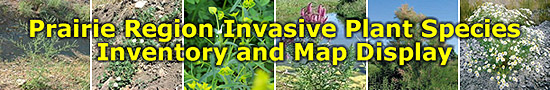 Prairie Region Invasive Plant Species Inventory and Map Display Site